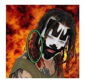 333927 195194 shaggy 2 dope